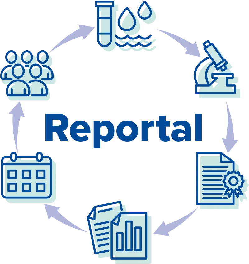 Reportal infographic